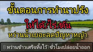 ทํานาปรังไร่ละ1เกรียนมีขั้นตอนยังไงบ้างep39