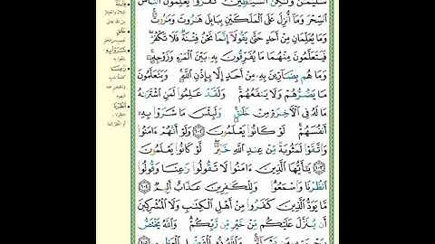 سورة البقرة | الصفحة 16| الاية مكررة 5 مرات بصوت المنشاوى  #البقرة واتبعو ما تتلو الشياطين