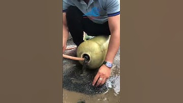 Bao Lâu Rồi Bạn Chưa Thay Lõi Vật Liệu Cây Lọc Tổng Của Gia Đình? #vũngtàu