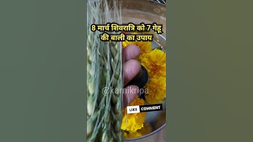 #shivratri #गेहूं #upay #shorts  #pradeepmishraji #viral #shortsfeed #शिवरात्रि