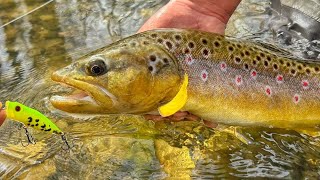 Topwater Angeln auf kapitale Bachforellen am kleinen Waldbach!!!