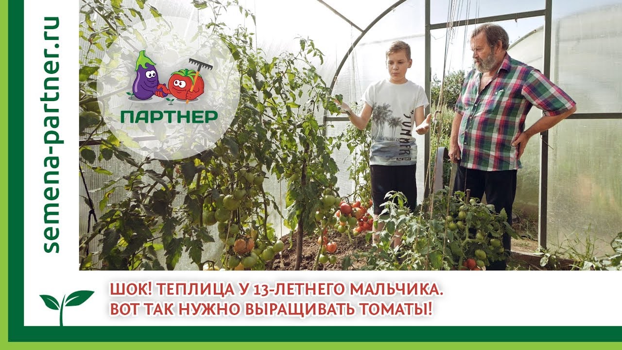 ШОК! Теплица у 13-летнего мальчика. Вот так нужно выращивать томаты!