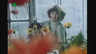 Alibabki - Kwiat jednej nocy (teledysk 1979)