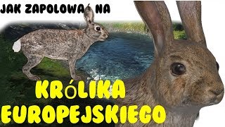 TheHunter  Poradnik jak upolować pierwszego Królika Europejskiego screenshot 1