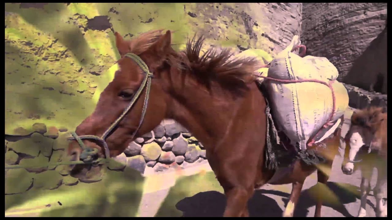 Nicola Cruz - Prender El Alma (Music Video) - YouTube