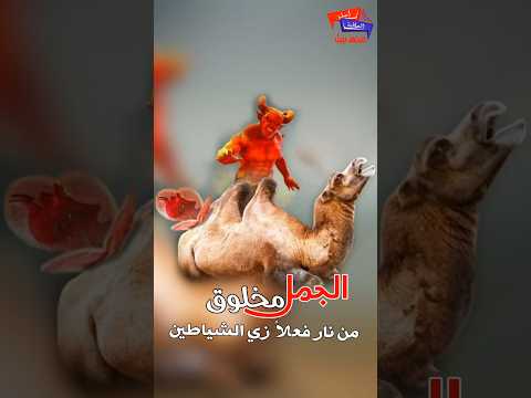 هو الجمل مخلوق من نار فعلا زي الشياطين