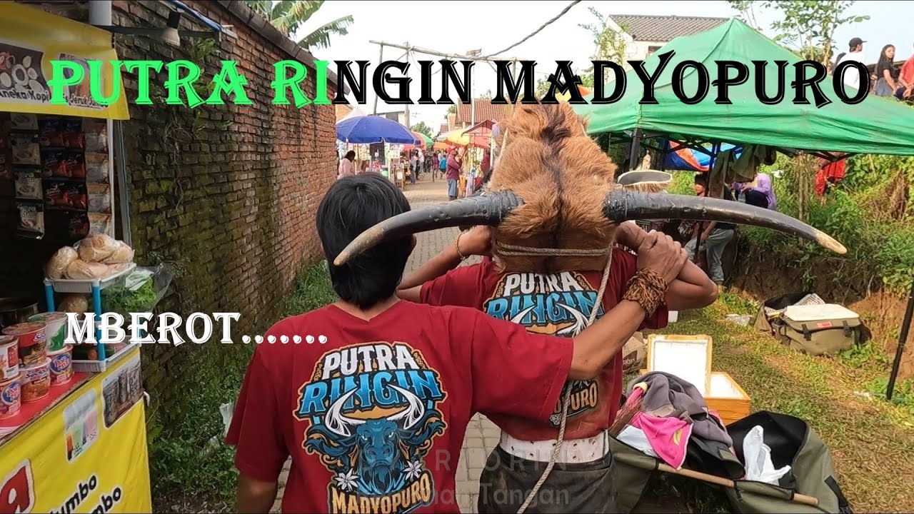 Kalapan bareng Bantengan Putra Ringin Madyopuro ndadi full mberot