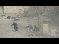 Qalai jangi  northern alliance battle taliban prisoner uprising nov 2001