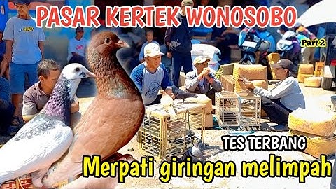 BERBURU MERPATI GIRINGAN DIPASAR KERTEK WONOSOBO  PASARAN JAWA KLIWON CAKEP CAKEP MERPATINYA PART 2