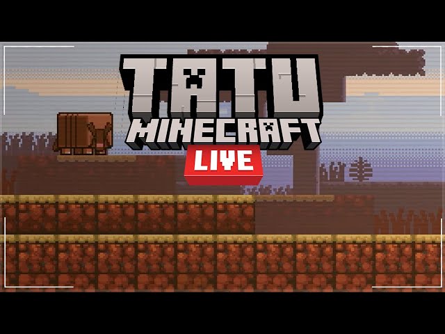 minecraft tatu bola