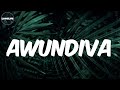 Ntsika - (Lyrics) Awundiva