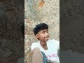 ताजमहल किसने बनायामिस्त्री ने किसनेबनवाया ठेकेदार ने#comedy #upsc ##viral #realfools