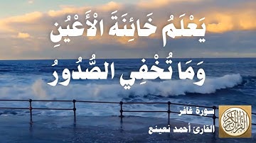 040 أحمد نعينع - سورة غافر