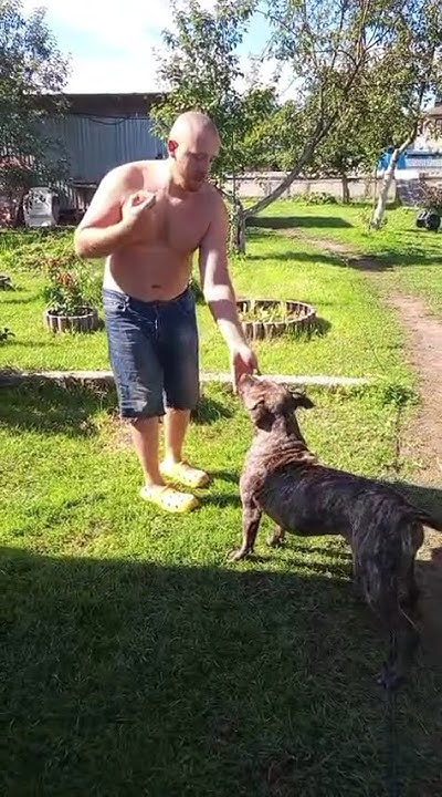 youtube.com