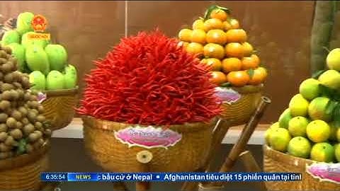 Xúc tiến đầu tư và thương mại tỉnh Đồng tháp tại Tp Hồ Chí Minh