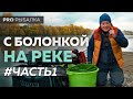 Болонская ловля. Подготовка к ловле болонской удочкой.