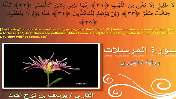 القارئ يوسف بن نوح المرسلات