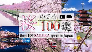 Spot selected as one of Japan's top 100 cherry blossom viewing spots