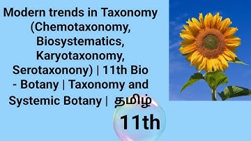 Modern trends in Taxonomy | 11th Bio - Botany | Taxonomy and Systemic Botany |  தமிழ்
