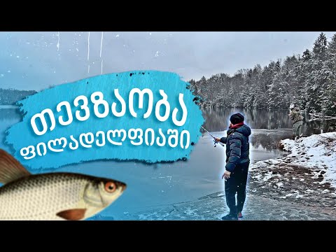 ვთევზაობთ ფილადელფიაში კალმხაზე თორნიკე ნაგლიაშვილთან ერთად