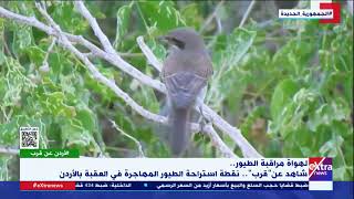 الأردن عن قرب| شاهد عن قرب.. نقطة استراحة الطيور المهاجرة في العقبة بالأردن