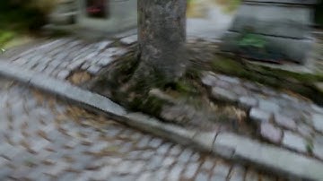 Cry Engine Level-Pere Lachaise Tree Part 1