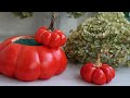 DIY Как сделать тыкву и тыкву кашпо своими руками // How to make a pumpkin and pumpkin planter
