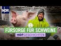 Unsere Schweine sind schlau & sauber | Hofgeschichten: Leben auf dem Land (266) | NDR