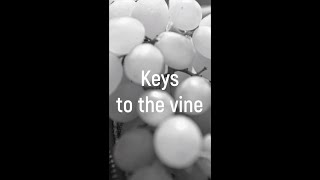 Keys to the vine