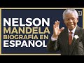 🌎Historia de Nelson Mandela - Enseñanzas de un líder de verdad 🏆