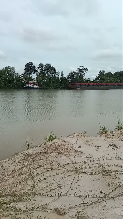 tongkang stanby menunggu muatan##short##bargging