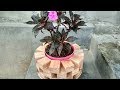 How To Make Amazing Wooden Circle Plant Stand - DIY Wooden Plant Stand