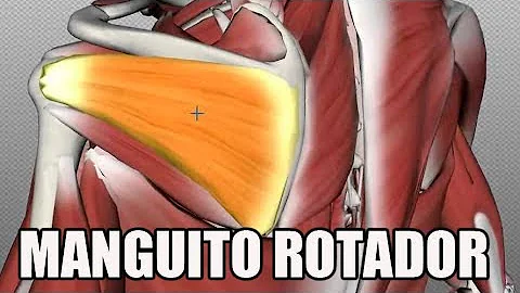 Como tratar o manguito?