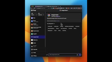 How To Use Google Palm 2 Model