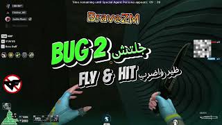Bug Fly (Glitch) X3 Colossus Fly & Hit