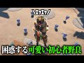 大量に回復あげたら困惑しながら全部拾う可愛い初心者野良さん【APEX】