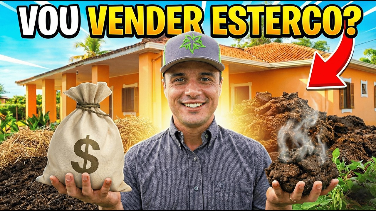 O QUE VOU FAZER COM O ESTERCO DOS CURRAIS?