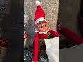 The 12 Days Of Elf-Mas Day 4: Elf Gets A Cold 🤧🎄