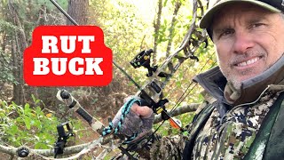 Georgia Deer Hunting 2022 | Bucks chasing, grunting and scraping | Rut Buck!