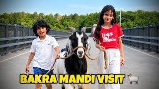 Eid ki shopping + Bakra Mandi visit in USA 🇺🇸  Sehrish & Luqman Vlogs!