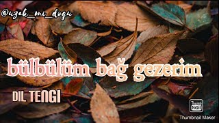 [ŞARKI SÖZLERİ] DİL TENGİ - BÜLBÜLÜM BAĞ GEZERİM (eng. Sub.) Resimi