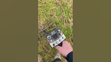 Nexus Standard MP V3 Dual 12