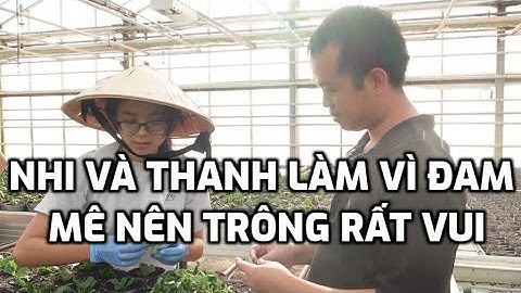 Tập 51 - Nhi Và Thanh Làm Vì Đam Mê Nên Trông Rất Vui - Thực Tập Hưởng Lương Đan Mạch