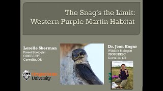 The snag’s the limit: Western Purple Martin habitat associations