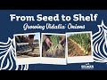 From Seed to Shelf - Growing Vidalia Onions