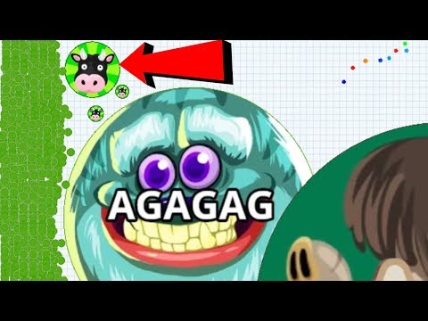 Agar.io Amazing Pro