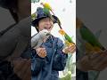 #竹島宏 「#小夜啼鳥の片思い 」Cタイプリリース🕊️カップリングには新曲「#薔薇のしずく 」を収録🌹公開中のMVや鳥カフェ動画も改めて観てみてくださいね!#テイチク #演歌 #新曲