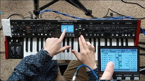 The Deepmind 12 // Intro and Patch Notes // 2021