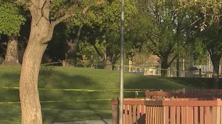 One arrested for Picnic Day shooting