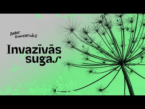 Video: Retas un apdraudētas dzīvnieku un augu sugas